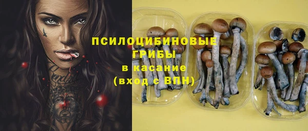 твердый Нея